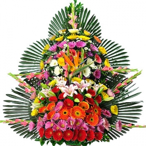 �󼼳��뺸��