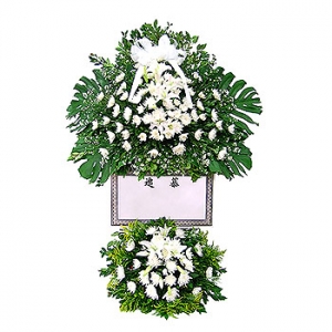 �󼼳��뺸��