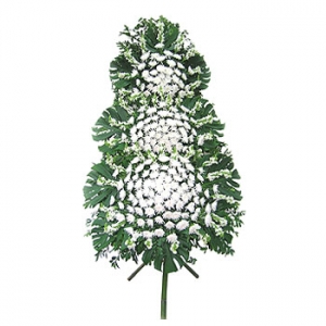 �󼼳��뺸��