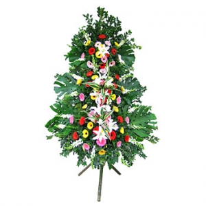 �󼼳��뺸��