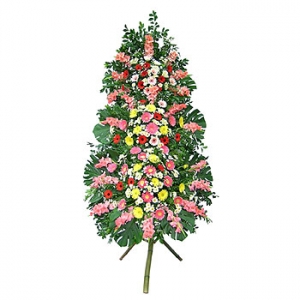 �󼼳��뺸��