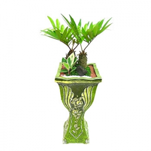 �󼼳��뺸��