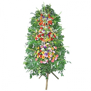 �󼼳��뺸��