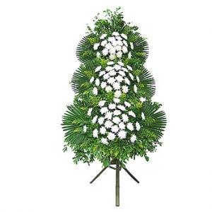 �󼼳��뺸��