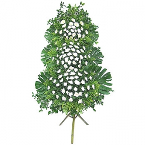 �󼼳��뺸��