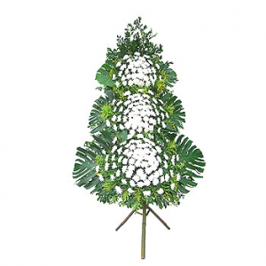 �󼼳��뺸��