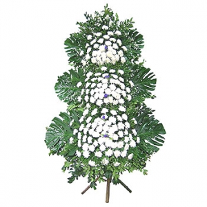 �󼼳��뺸��