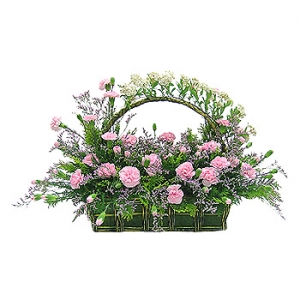 �󼼳��뺸��