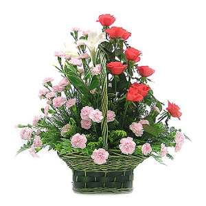 �󼼳��뺸��