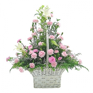 �󼼳��뺸��