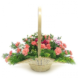 �󼼳��뺸��