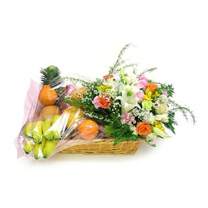 �󼼳��뺸��