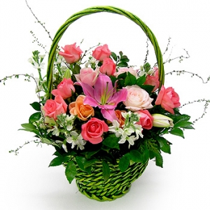 �󼼳��뺸��