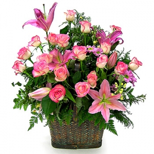 �󼼳��뺸��