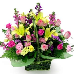 �󼼳��뺸��