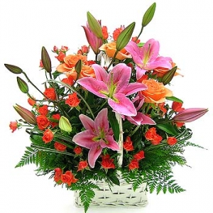 �󼼳��뺸��