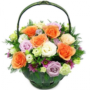 �󼼳��뺸��