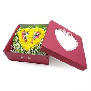 �󼼳��뺸��