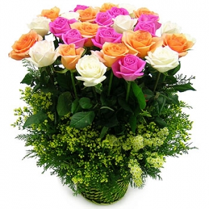 �󼼳��뺸��