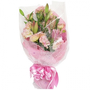 �󼼳��뺸��