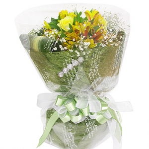 �󼼳��뺸��