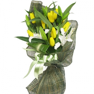 �󼼳��뺸��