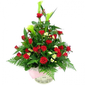 �󼼳��뺸��