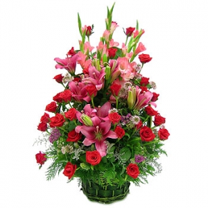 �󼼳��뺸��