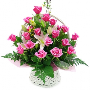 �󼼳��뺸��