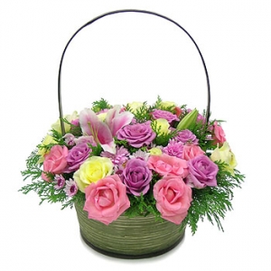 �󼼳��뺸��