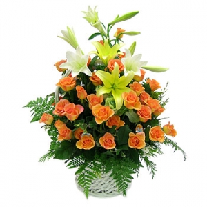 �󼼳��뺸��