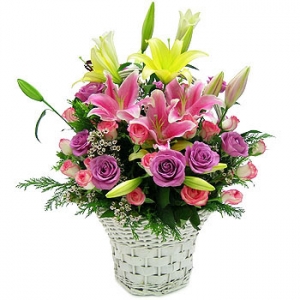 �󼼳��뺸��