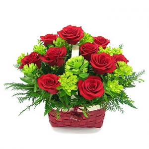 �󼼳��뺸��