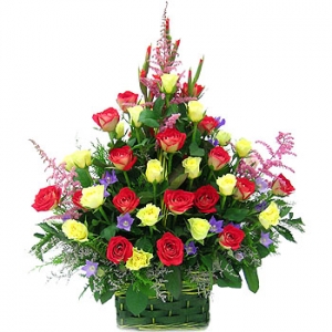 �󼼳��뺸��