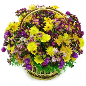 �󼼳��뺸��