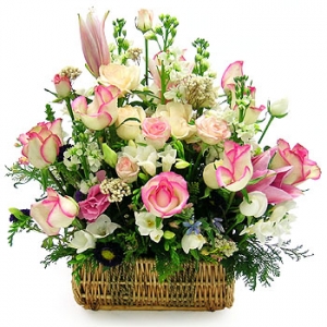 �󼼳��뺸��