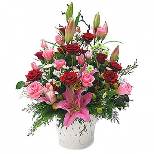 �󼼳��뺸��