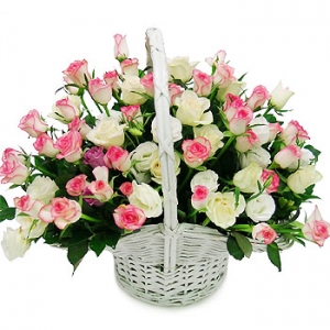 �󼼳��뺸��