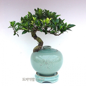 �󼼳��뺸��