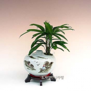 �󼼳��뺸��