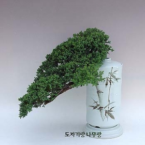 �󼼳��뺸��