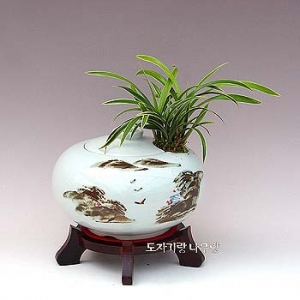 �󼼳��뺸��