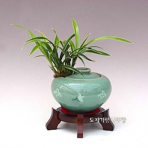 �󼼳��뺸��