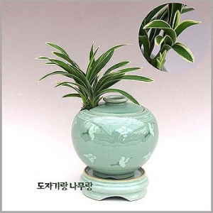 �󼼳��뺸��