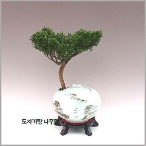 �󼼳��뺸��