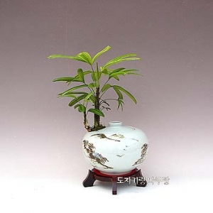 �󼼳��뺸��