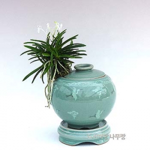 �󼼳��뺸��