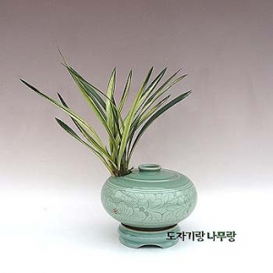 �󼼳��뺸��