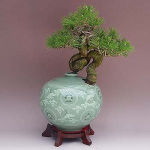 �󼼳��뺸��