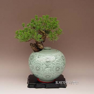 �󼼳��뺸��